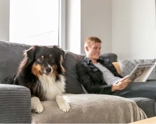 ¿Cómo elegir correctamente el juguete para mi perro? 3 perro 3