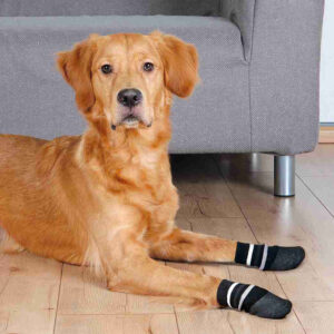 Calcetines Perro - Imagen 2