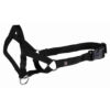 Arnes Bozal Guia Top Trainer S 22 cm