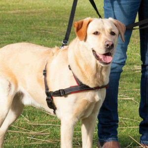 Arnés Guía Lead'n'Walk Soft - arnés antitirones Trixie - Imagen 3