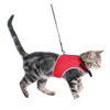 Arnés Suave con Correa 4 Arnes Suave Correa Gatos 24 42 cm 1 20 m