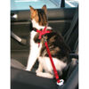 Arnes y Cinturon seguridad Gatos 20 50 cm Rojo