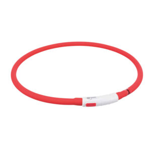 collar luminoso para perros