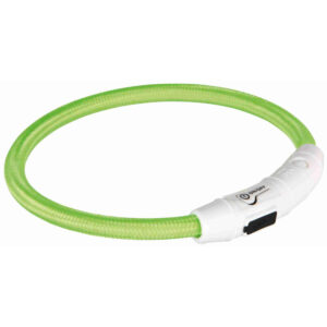 collar luminoso para perros USB