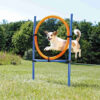 Aro para Agility 115 3 cm Azul Naranja