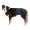 Banda Abdomen Perros Macho S 2937 cm Azul Oscuro