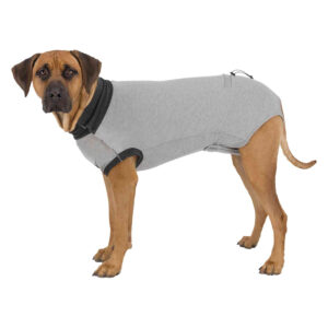Body Protector - Imagen 2