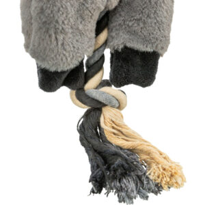 Burro - Imagen 4
