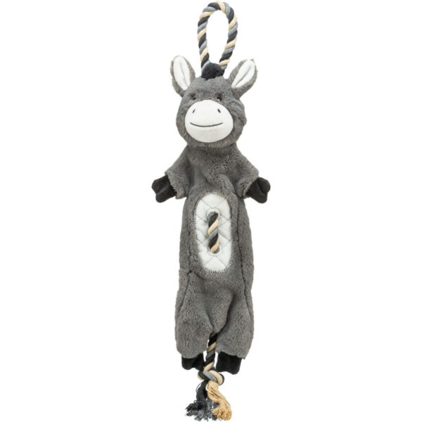 Burro