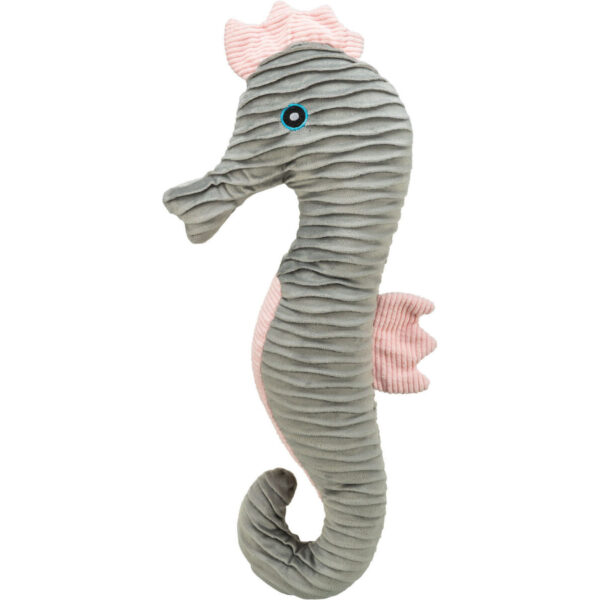 Caballito de mar