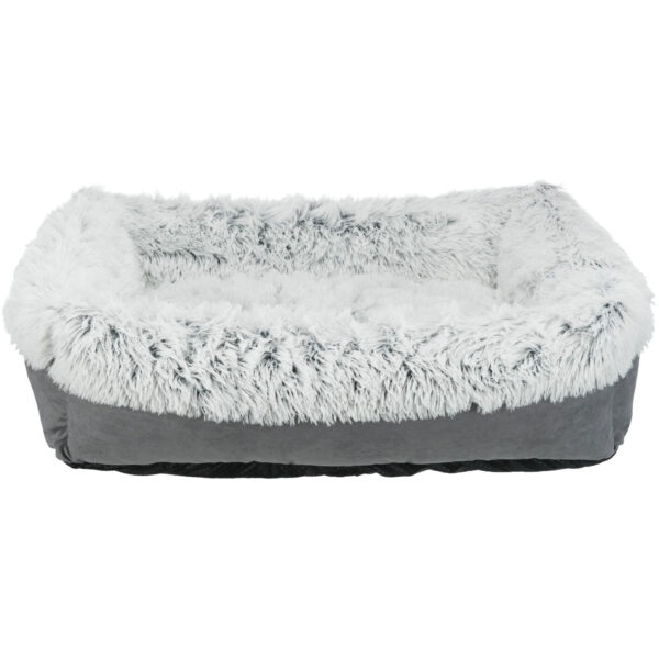 Cama Harvey