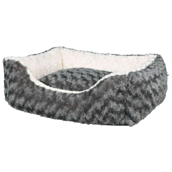 Cama Kaline