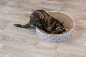 Cama de Rascado Lilly - Imagen 11