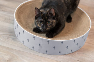 Cama de Rascado Lilly - Imagen 10