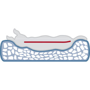 Cama vital Bendson - Imagen 7