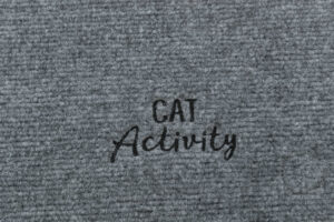 Adventure Carpet - Imagen 3
