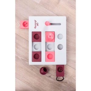 Juego Interactivo Brain Mover - Imagen 2
