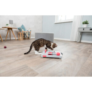 Juego Interactivo Brain Mover - Imagen 11