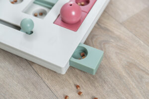 Juego Interactivo Brain Mover - Imagen 19