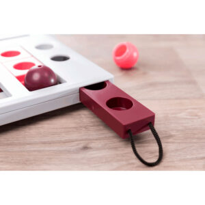 Juego Interactivo Brain Mover - Imagen 4
