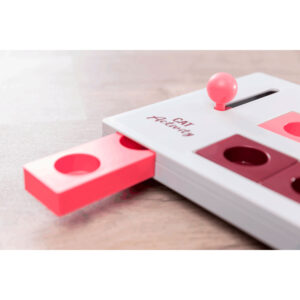 Juego Interactivo Brain Mover - Imagen 5