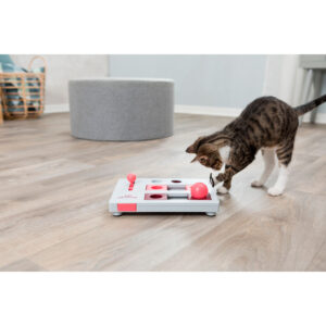 Juego Interactivo Brain Mover - Imagen 8