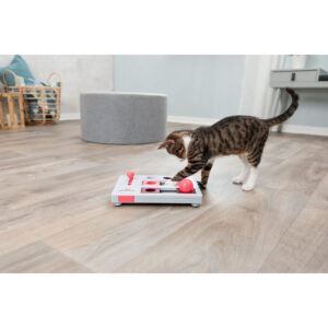 Juego Interactivo Brain Mover - Imagen 10