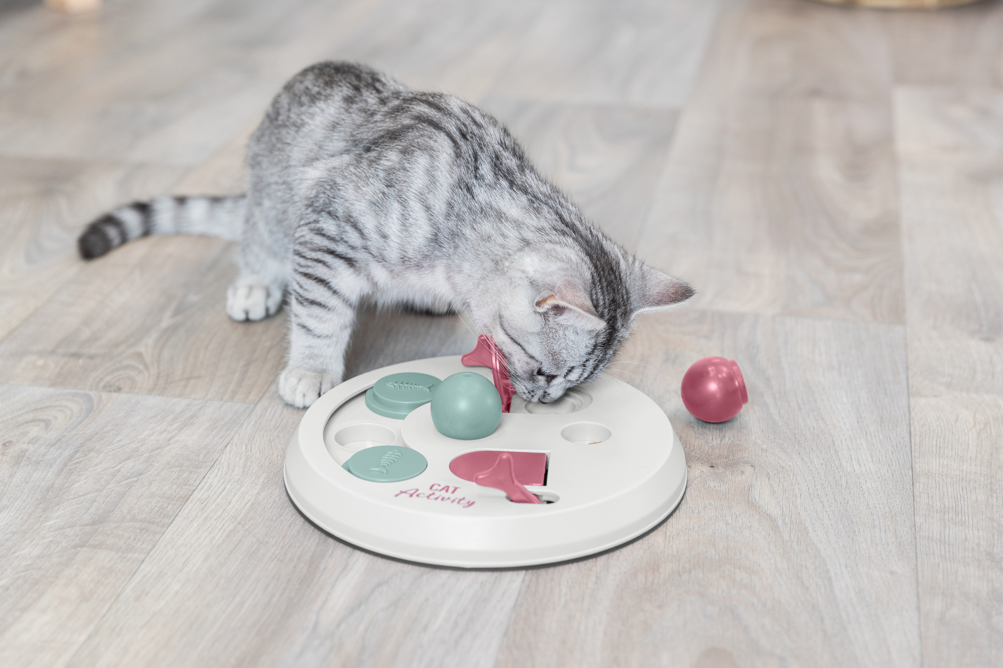 Flip Board - Imagen 9