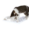 Juego Interactivo Fun Board 13 Cat Activity Fun Board 5 opciones 30 x 40 cm