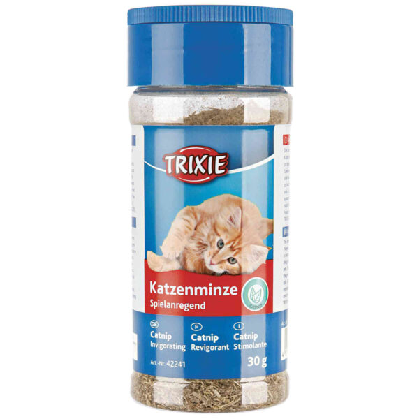 Catnip x 4 UNIDADES