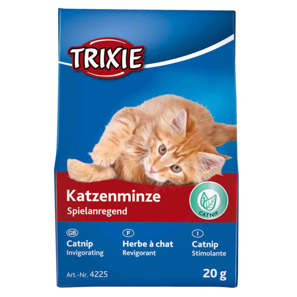 Catnip x 2 UNIDADES