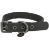 CityStyleCollar XSS 2532 cm 20 mm Negro