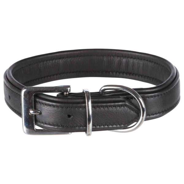Collar Active Comfort