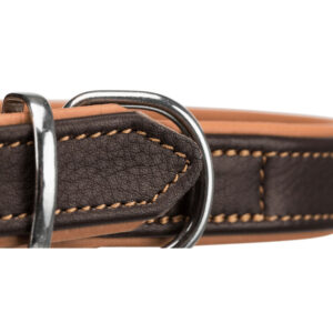 Collar Active - Imagen 2