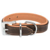 Collar Active Comfort XSS 2132cm 25mm Marron Marron Claro