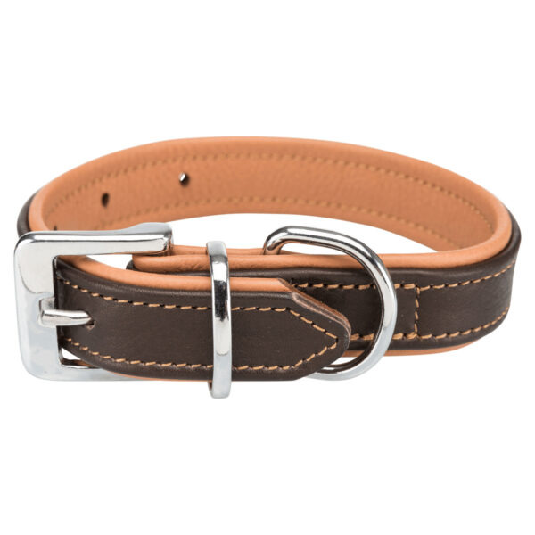 Collar Active