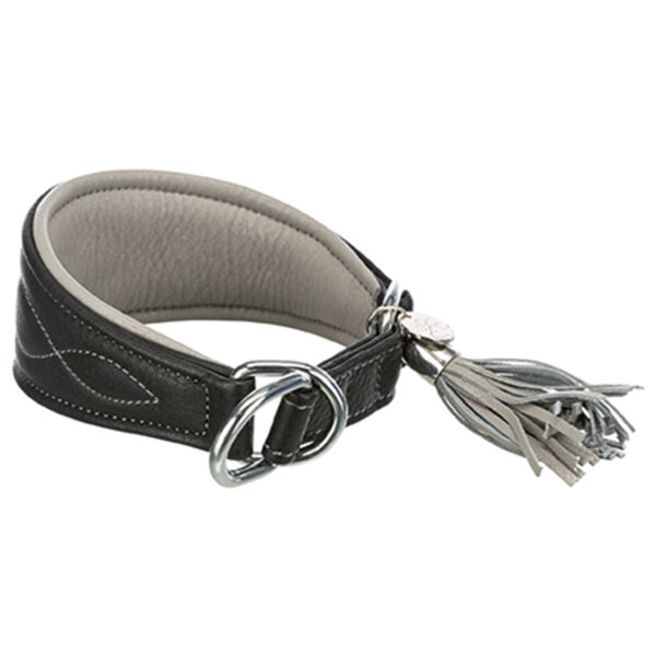 Collar Active Comfort Galgos de Educación