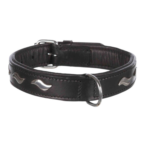 Collar Active