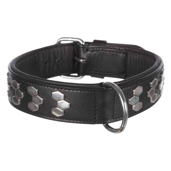 Collar Active, extra ancho