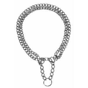 collar de entrenamiento