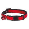 Collar Gatos Pedreria Terciopelo