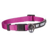 Collar Gatos con Placa Identificativa Nylon