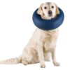 Collar Protector Inflable XXS Azul
