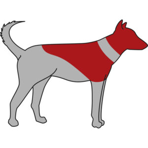 Collar Protector, inflable - Imagen 3
