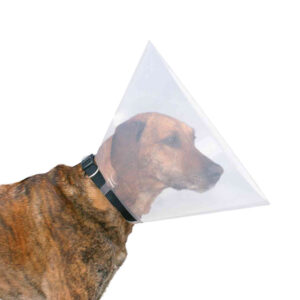 Collar Veterinario - Imagen 2
