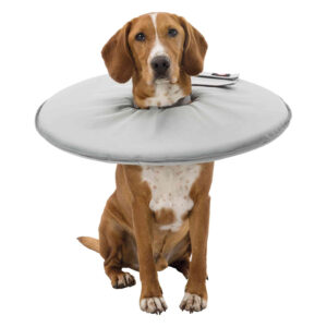 Collar Veterinario - Imagen 5
