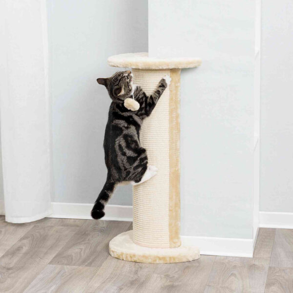 Columna Rascadora Lorca para esquinas