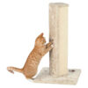 Columna Rascadora Soria 80 cm Beige
