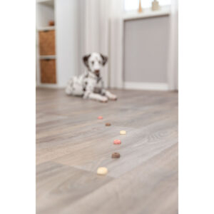 Cookie Snack Loops - Imagen 5