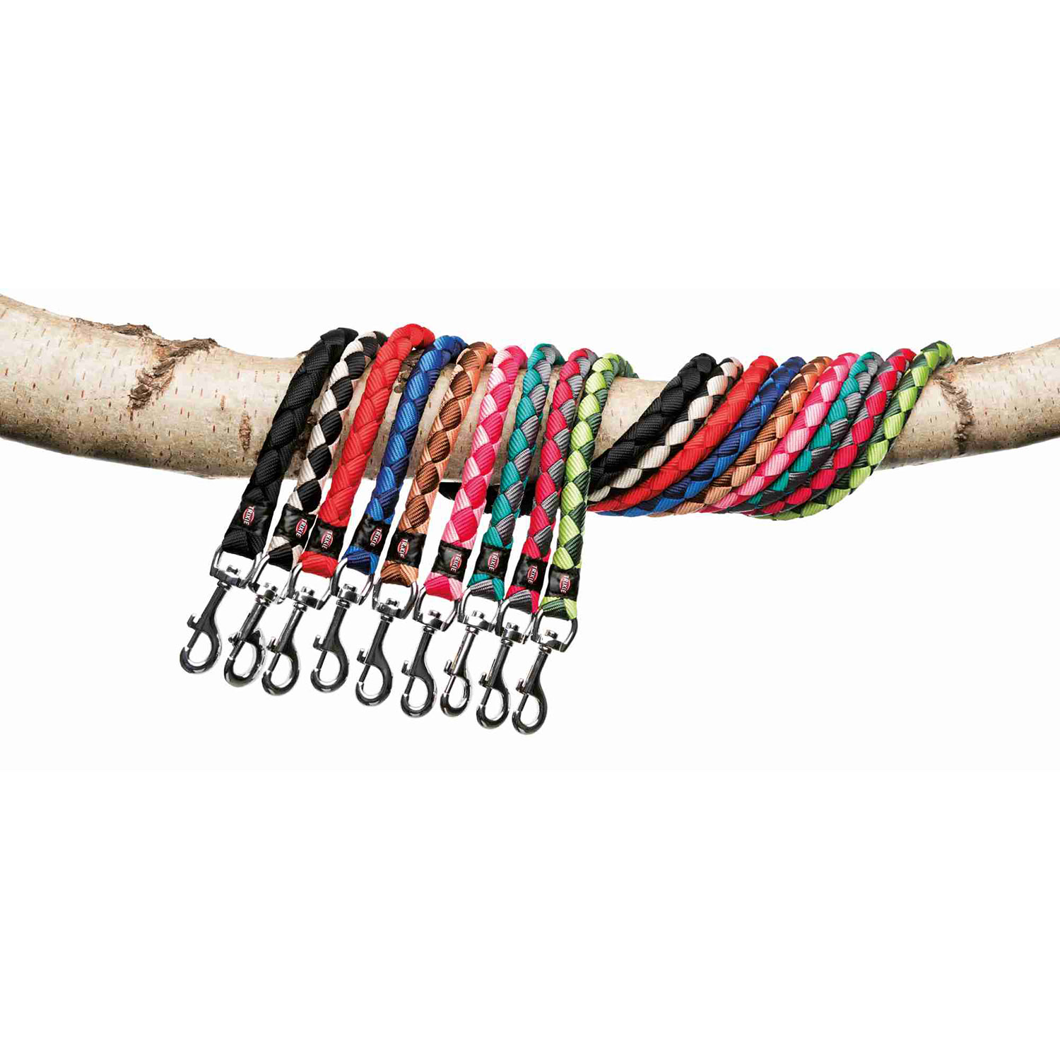 Correa New Cavo - Imagen 2